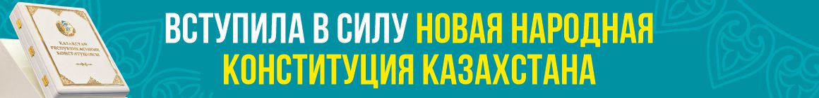 Конституция